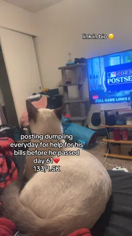 this was his first time smelling a candle i lit, 2 years ago today  😆 it was too funny🥹