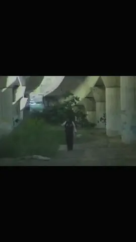 #depresionsonora #markusiano #edicionbarrata #Depresionsonora #losperrosnoentiendeninternet @Depresión Sonora 