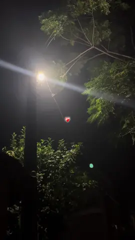 Mazak bana Diya hai🥺❤️ #mightyankit #part28 #foryoupage #birgunjmuser #nightview 