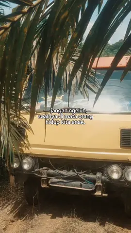 #CapCut #kalbar #fyp 