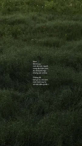 …