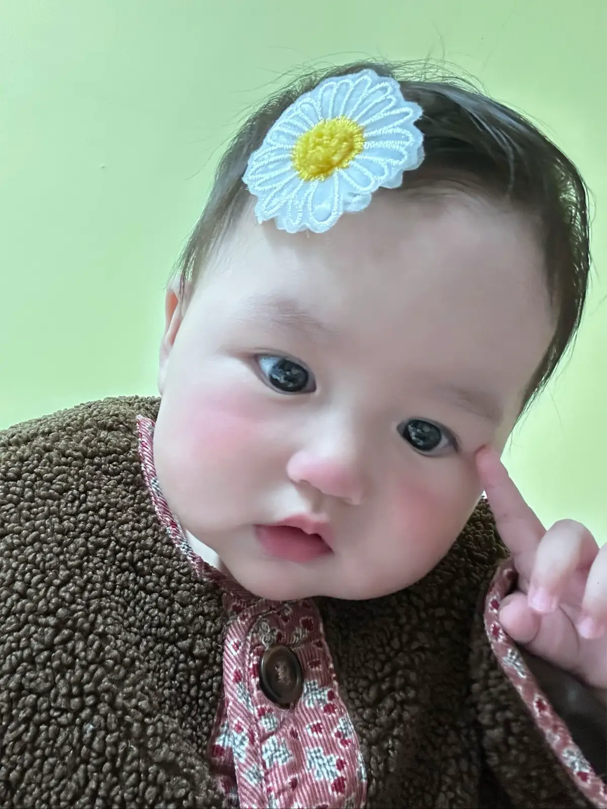 #embedangyeu #bunreal #ranthang2🐍 