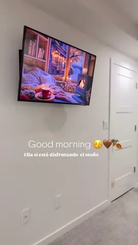 Good morning #cozydays #athome #dogs #cozyhome #dayinmylifevlog