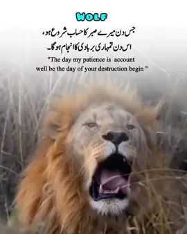 Natural / idiomatic: “The day my patience is called to account will be the day of your downfall.”# #frezzmyaccount #plesaunfrezzmyaccount #viralvideos #foryou #growmyaccount 