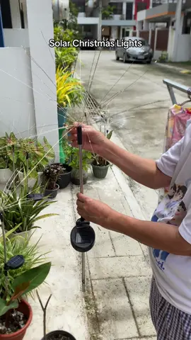 Ang ganda niya #christmaslights #solarchristmaslights #christmasdecor 