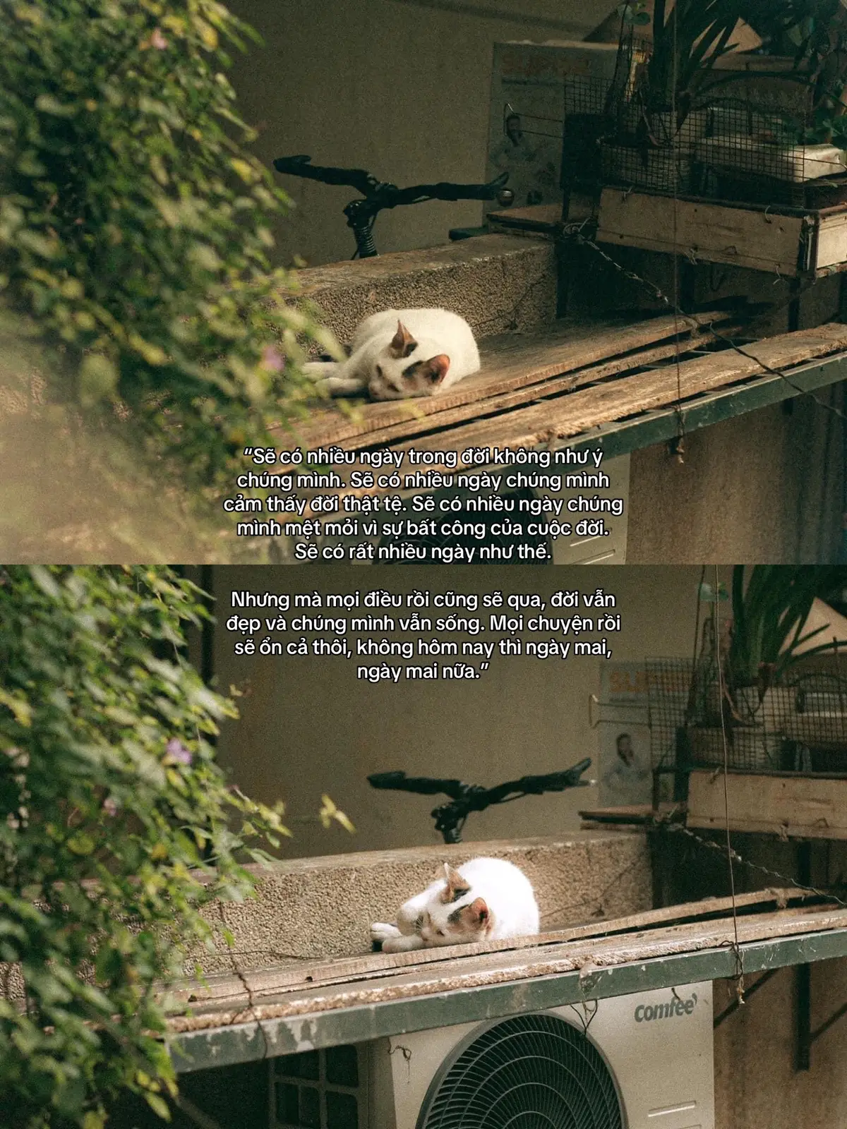 “Không hôm nay thì ngày mai, ngày mai nữa.” #xh #trending #tamtrang #buonmotchut #fyp 