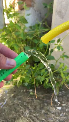 Aprendi a fazer isso com jardineiro, e não é que funciona 😱 #solucao #ideia #jardineiro #técnica #DIY 