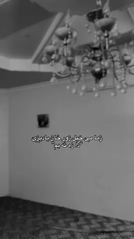 زما مې … #darkkhalid #foryou #share #pashto #pashto 