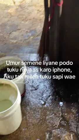 Sederhana mawon #fyp #storytime #bosmudapunyacerita #xybca #sapijumbo 