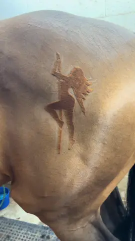 🥵🤩 #horseclipping #goleniekoni #horsegroom #malopolskie #slask #dc #tb #equestrian #victoria #malopolskie #victoriassecretfashionshow #vsmodel #victoriassecretmodel #poledander #poledancefortiktok #wzorki #dancer 