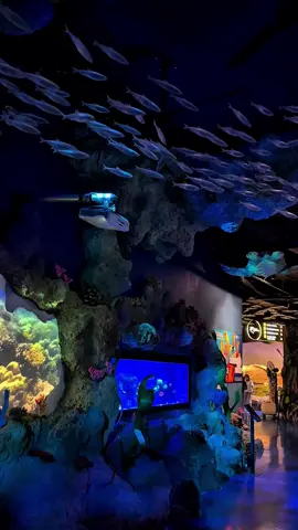 #fyppppppppppppppppppppppp #tren #jakartaaquarium 