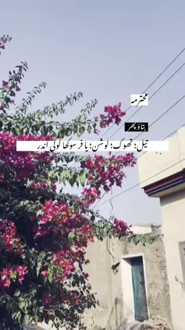 #follow #foryoupage #virl #foryou 