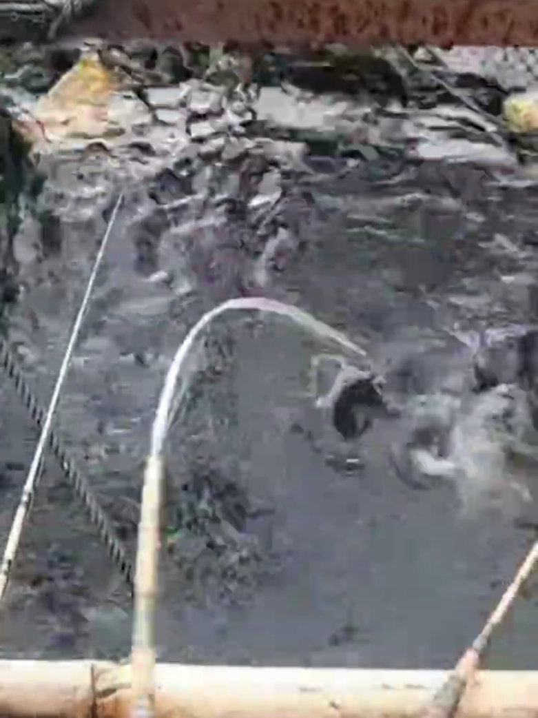 global fishing adventure Mancing rakit gusur cirata  #fishing #fyp #foryoupage #mancingcirata 