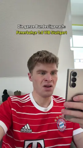 Die ganze Bundesliga nach Fenerbahçe 1:0 Stuttgart