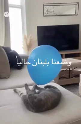 #الشعب_الصيني_ماله_حل😂😂 #fyp #explore #lebanon #وضع لبنان حالياً 🤣