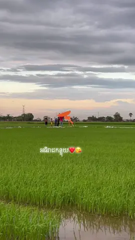 #អធិរាជកន្ទុយ #fylpシ #ខ្លែងឯកខ្មែរ🇰🇭🇰🇭 