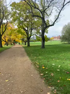 حين تزرع السعادة في قلب إنسان سيأتي يوم من يزرعها *في قــلــــبــك* فالدنيا كما تقدم لها تقدم لك وما تزرعه اليوم تحصده غداً والكلمة الطيبة والقلب الصافي هما الجمال الحقيقي لأي إنسان 🌹جمتكم مباآٍْآٍٍْْآٍٍٍْْْآٍٍْْآٍْركة🌹