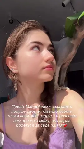 Будь-яка підтримка для луни 😔#creatorsearchinsights 