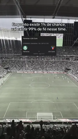 o sonho do tetra ainda está vivo! 🙌💚 #palmeiras #libertadores #sep #manchaverde 