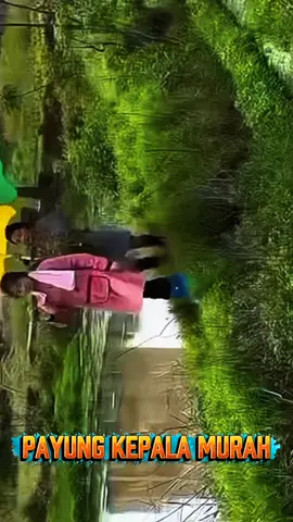 buruan di order #payung #payungkepala #topipayungkepala #topi #bismillahfyp 