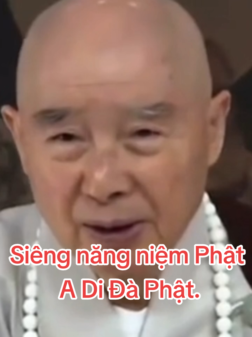 Siêng năng tụng niệm kinh Vô Lượng Thọ . siêng năng niệm danh hiệu Phật A Di Đà .Như thế quí vị mỗi ngày đều tu công đức. #PhatPhapNhiemMau #PhapMonTinhĐo   #KinhVoLuongTho #PSTinhKhong 