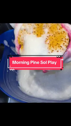 #sudsyspongesqueezing #spongesqueezing #spongesqueezingasmr #pinesol #pinesolsqueezes 