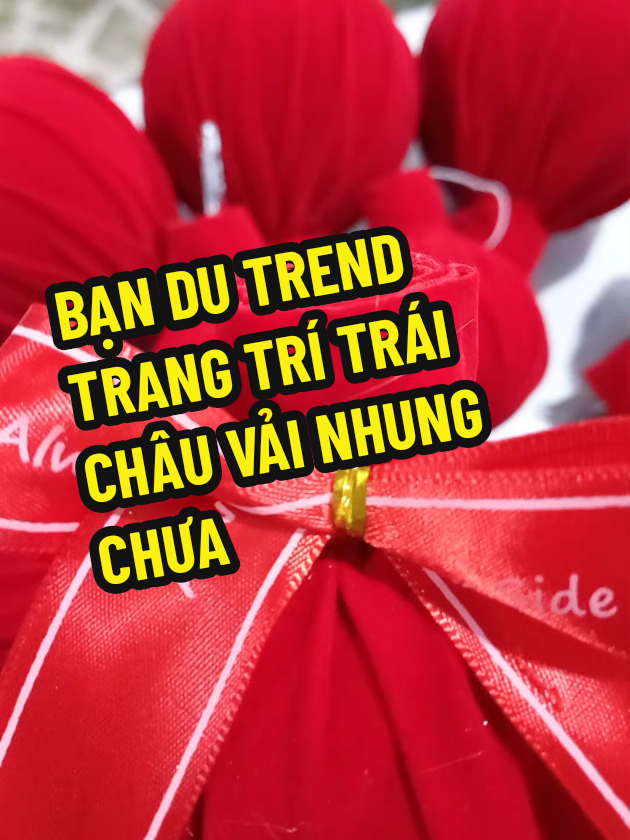 Trái Châu Vải Nhung đang hót lắm đây và mẫu nhà mình đã ra lò nha #giangsinh #xuhuong #noel #traichauvainhung #traichau 