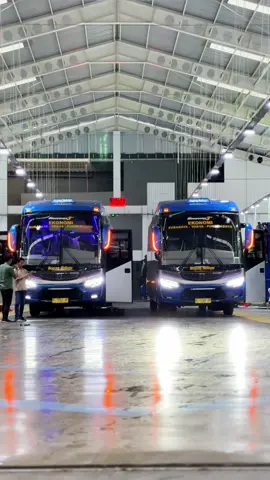 Ekonomi Premium 🥶 @PT. SELAMAT SUGENG RAHAYU @Laksana @anggaditia1836 @insan @Djody Why #sumbergroup #sugengrahayu #sumberselamat #laksana #laksanabus 