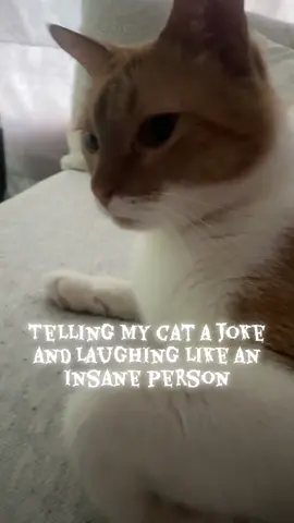 The immediate reaction 😂