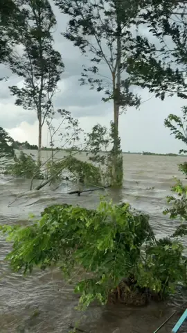 Bà con nông dân mệt vườn miền tây bao đê tấn mũ chống lũ