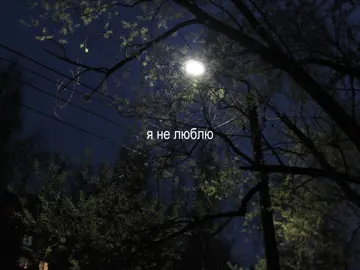 #глобальныерекомендации #elbruso #Biscoitocut #песняпокайфу #песнядлядуши 