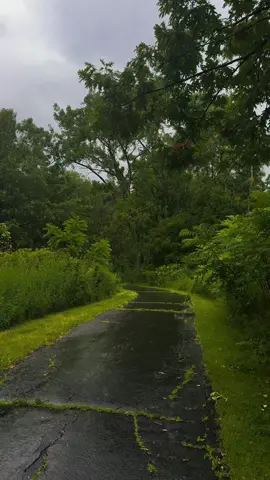 #funnyvideos #ئه_كتيڤ_بن💔😌 #fyp #fouryou 