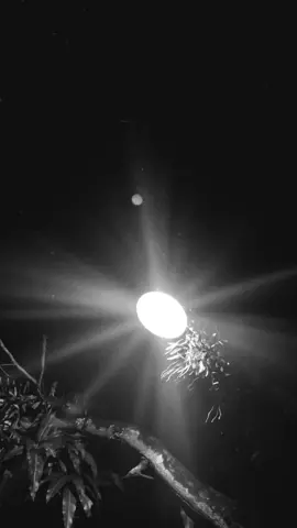 #lyrics #hinggaakhirwaktu #nineball #liriklagu #music 