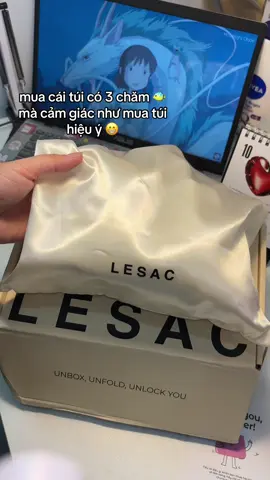 cưng brand quá, thật sự quá chỉnh chu #lesac 