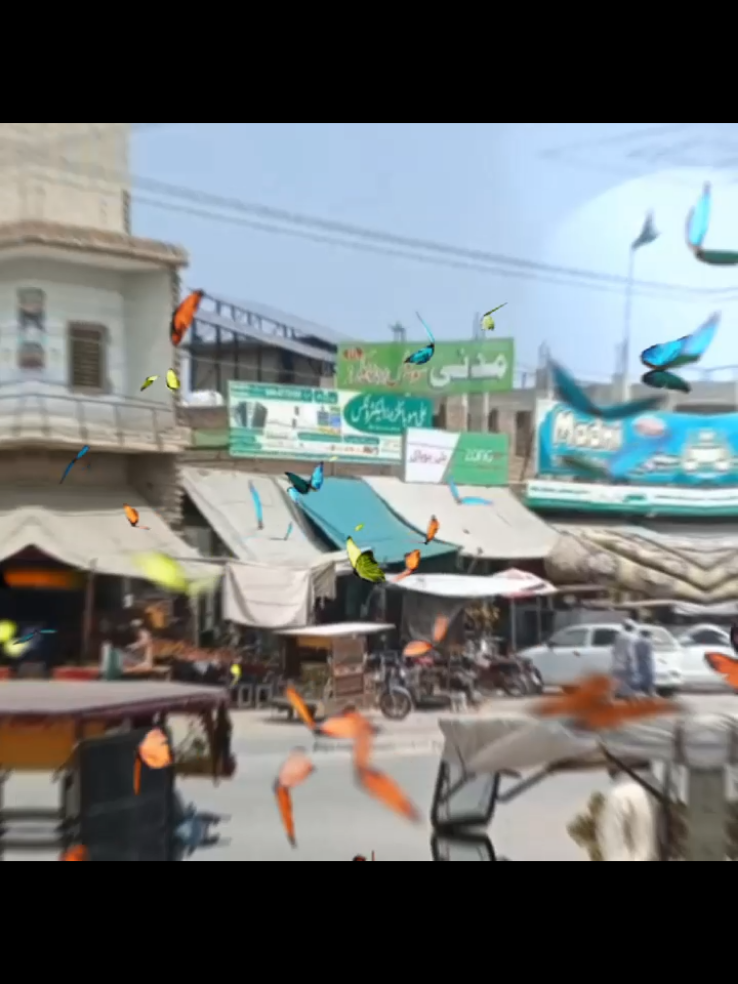 Mera suna sher havelilakha #repost #viralvideo #viralvideo @🦅وٹوصاحب🏴‍☠️(حویلی آلہ) 