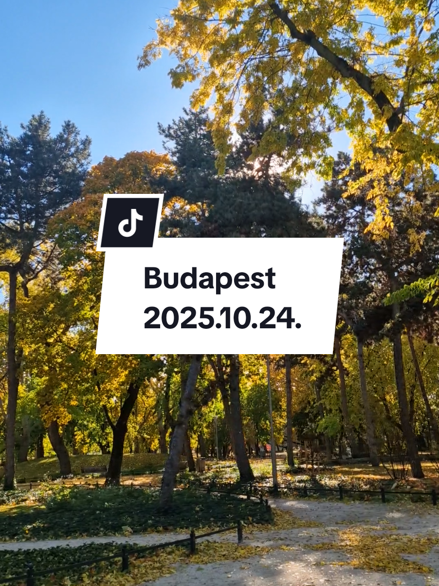 ☀️ After a rainy morning, Budapest gifted us sunshine again 🍂✨ A golden autumn walk in City Park — colorful leaves, fresh air, and the fairytale Vajdahunyad Castle 🏰🍁 #BudapestToday #BudapestAutumn #VajdahunyadCastle #CityPark #BudapestWalks   
