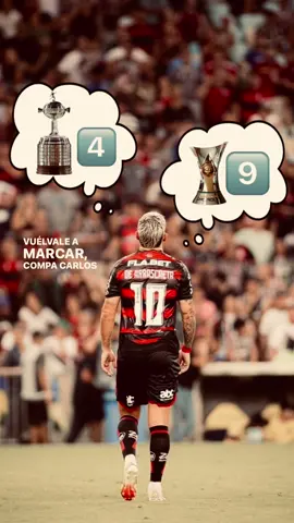 Por todos nós ⭐️ . . . . . #fyp #flamengo #libertadores #brasileirão 