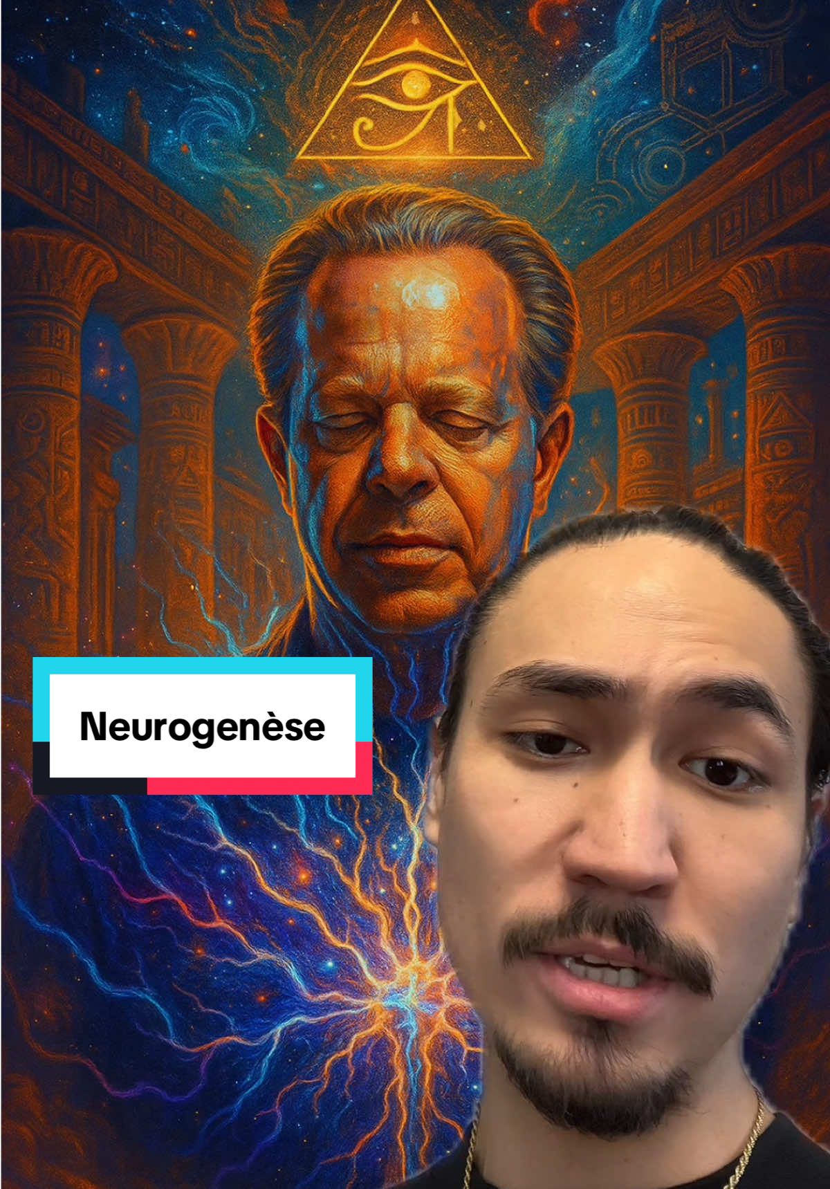 à propos de l’enseignement de Joe Dispenza #conscience #dispenza #reprogrammationmentale #neuroplasticité #neurogénèse 