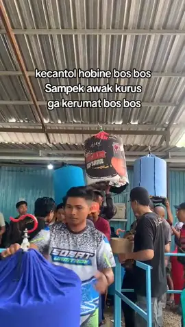 angell🤣#kicaumaniaindonesia #kicaumania #muraibatuindonesia #muraimania #fyppp 