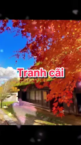 #songchamannhien  #trietlycuocsong  #baihoccuocsong  #xuhuong  #fyp 