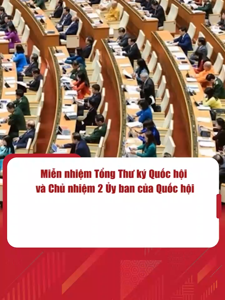 Quốc hội đã thông qua Nghị quyết miễn nhiệm chức vụ Tổng Thư ký Quốc hội, Chủ nhiệm Văn phòng Quốc hội đối với ông Lê Quang Tùng. #quochoi #miennhiem #tiktok #tintuc #baonguoilaodong