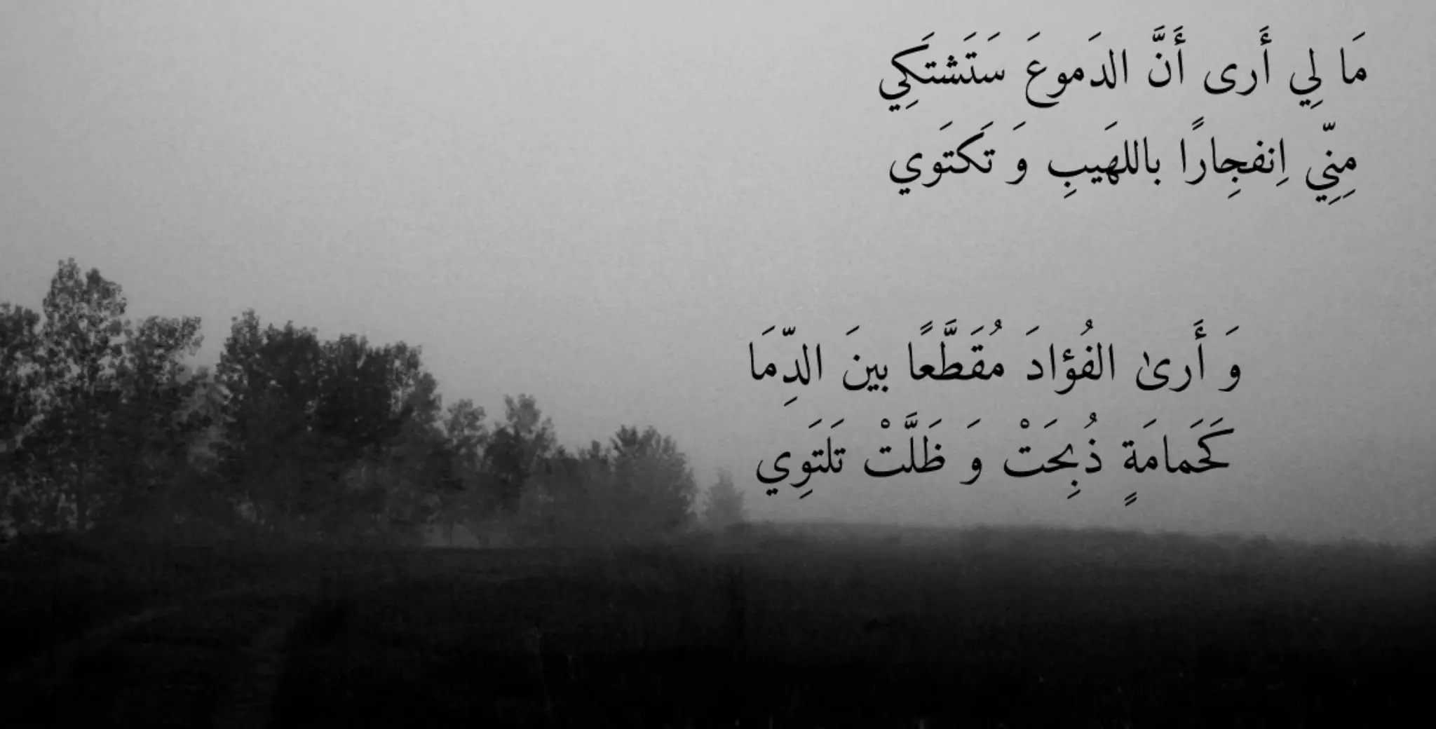 مَا لِي أَرى أَنَّ الدَموعَ سَتَشتَكِي مِنِّي اِنفجِارًا باللهَيبِ وَ تَكتَوي وَ أَرىٰ الفُؤادَ مُقَطَّعًا بينَ الدِّمَا كَحَمامَةٍ ذُبِحَتْ وَ ظَلَّتْ تَلتَوِي  #viral #greenscreen #fppppppppppppppppppp #fyp #tiktok 