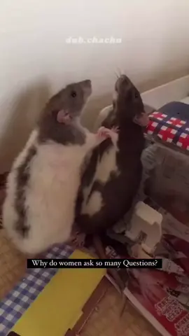 #funnyvideos #viralvideo #🤣😅 