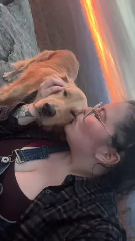 No amount of money can buy the love and devotion of a true heart dog.