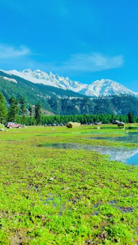 Amazing view #hello_kalam_ #viraltiktokvideo #snowfall #snow #kalam 