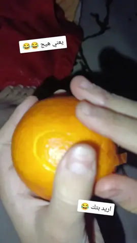 #حلوين_حلوين #المحافضات_العراقية #مشاهير_تيك_توك #مصممين_العراق #الشعب_الصيني_ماله_حل😂😂 