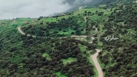 راااجعه لبلادي من غير شر🤎 . . . . . . . #fyp #foryou #viral #yemen #اليمن 