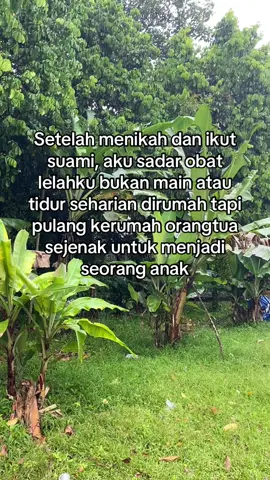 Mengesampingkan pekerjaan rumah saat dirmh orangtua itu best feeling 🥰 #foryoupage #anakrantau #suamiistri #sadvibes #orangtua 