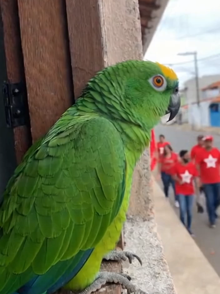 Os marginal chego kkk