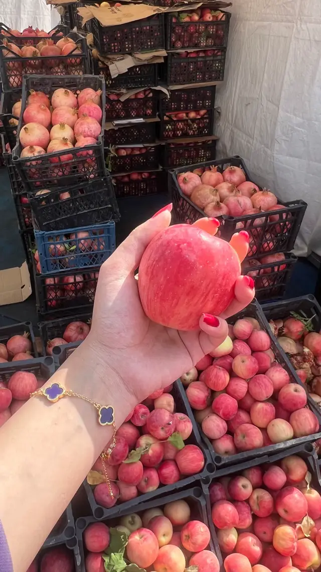 #barwari🍎 #tilary♥🐆🦅 #barwari_ma #vestavalabarwarri #fyppppppppppppppppppppppp 